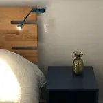 Albatros Appartement *