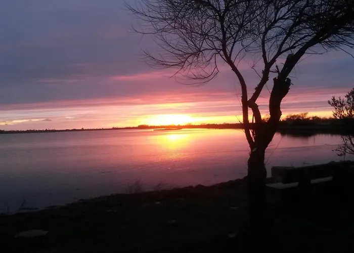 Albatros * Westerbergen